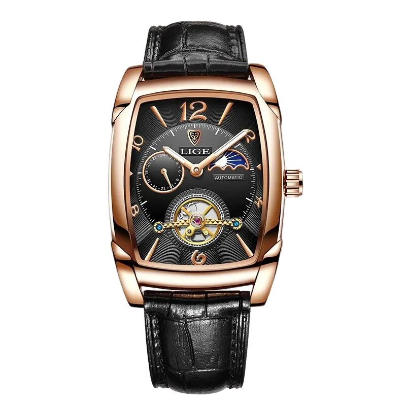 LOUIS PIERRI – CELESTIAL MECHANICS STELLAR CHRONOS
