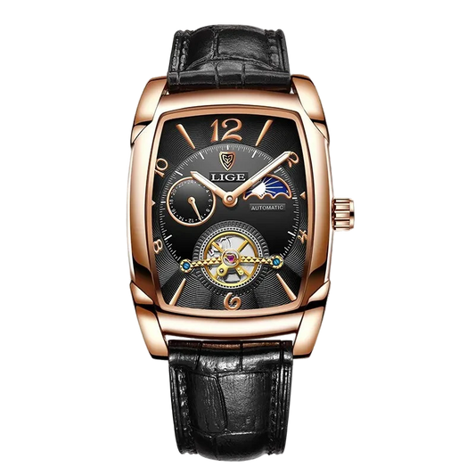 LOUIS PIERRI – CELESTIAL MECHANICS STELLAR CHRONOS